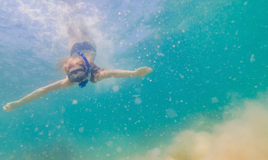 Diving and Snorkeling on Stradbroke Island: Discovering the Underwater Paradise